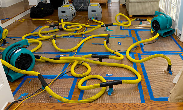 Professional Structural Drying And Dehumidification technician working in Purdon, TX
